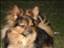 lizz040404